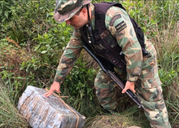 Incautaron más de 400 kilos de marihuana en Eldorado y Posadas