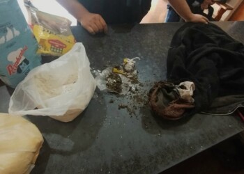 En solo un mes ya hubo 10 casos frustrados de ingreso de drogas a detenidos