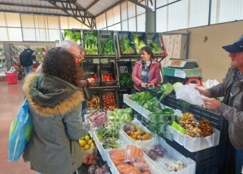 Sin intermediarios: las propuestas de los productores y emprendedores