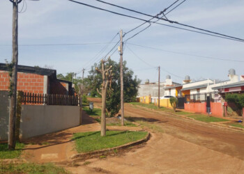 Investigan envenenamiento de perros y gatos en Aristóbulo