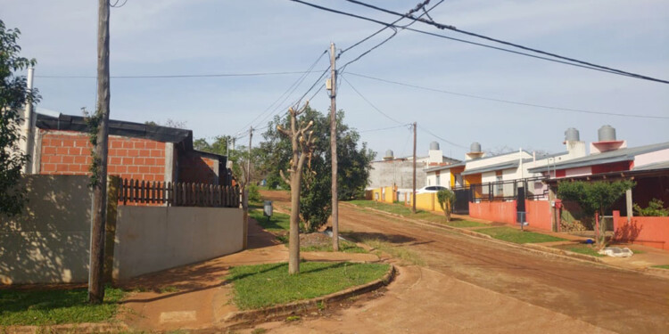 BARRIO TRANQUILO. Los chicos salen a la calle y a la plaza a jugar, por lo que temen que tengan contacto con la misma sustancia que enferma a sus mascotas.