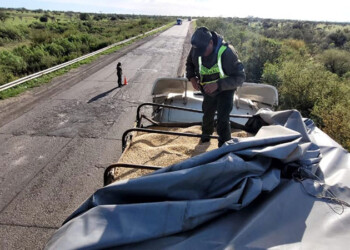 Decomisan más de 100 toneladas de granos en controles viales