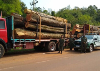 Madereros denuncian multas de 12 millones de pesos y afán recaudador de Ecología