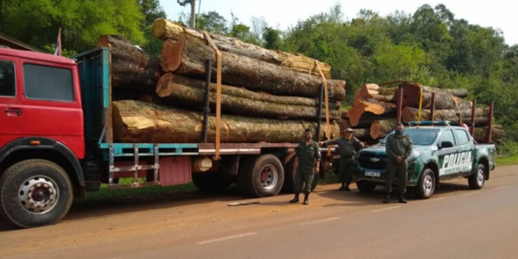 IMPEDIMENTOS. El Ministerio obliga a los madereros a pagar la multa o les bloquea en el sistema sin dejarles trabajar.