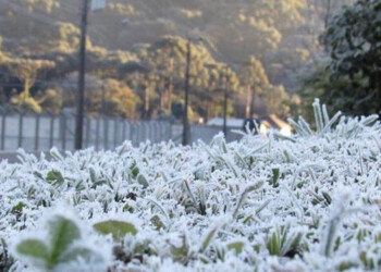 Alerta por heladas y la llegada de la tormenta de Santa Rosa en Misiones