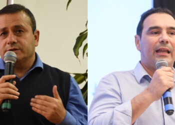 Misiones y Corrientes fijaron posturas enfrentadas sobre la yerba mate