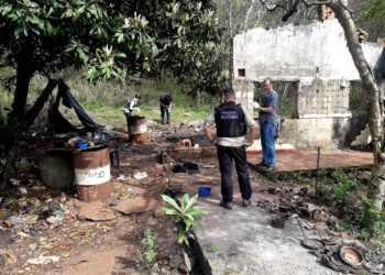 Dijo haber “matado por diversión” y ahora va a juicio