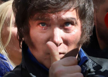 “Cuando la economía está inestabilizada, surge la figura de Milei como alguien que puede repararla”