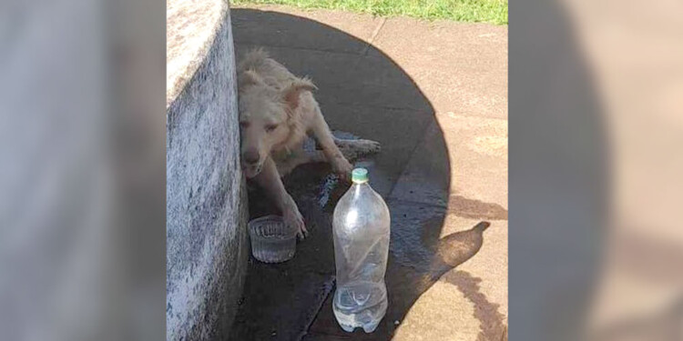 CONTROL. Advierten que un turismo responsable no puede permitir esto.