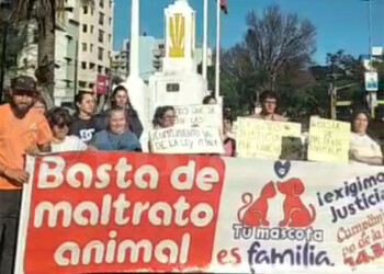 Rescatistas realizaron un intervención para pedir justicia por Manchitas