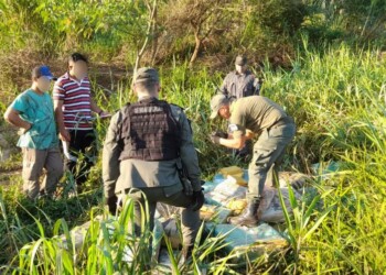 Puerto Delicia: secuestraron 500 kilos de marihuana