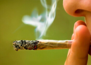Marihuana: en 10 de 100 hogares de nivel alto se consumió por placer el último mes