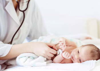 Un impulso para dos especialidades que necesita Misiones, nuestro editorial de hoy