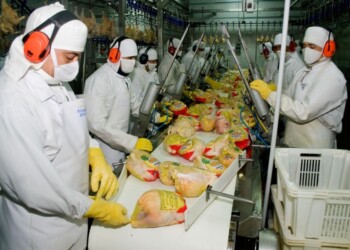 La revancha del pollo: apuntan a crecer 2% durante el 2024