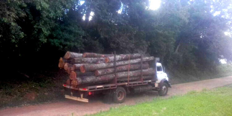 CONFLICTO. La empresa mantiene una disputa con los mbya por los derechos ancentrales de los guaraníes.