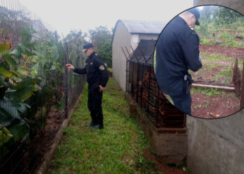 Investigan millonario robo en distribuidora de Jardín América