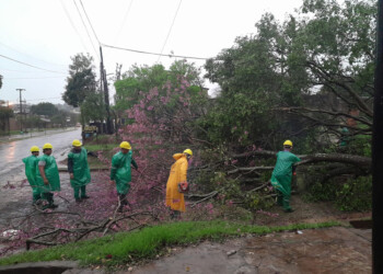 Tras la tormenta, en Posadas recomiendan circular con precaución
