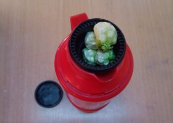 Descubrieron  un termo con “clona” para tomar mate