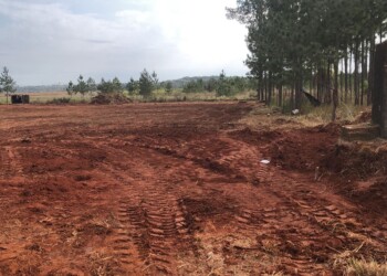 Invadieron terrenos privados en Candelaria: “Es gente que sabe hacer negocios por el lado oscuro”