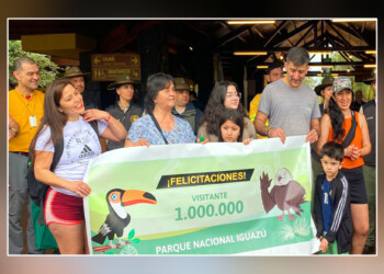 Cataratas recibió al visitante un millón de este año