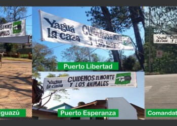 Municipios del norte de Misiones se sumaron a la campaña “Yaguá la caza”