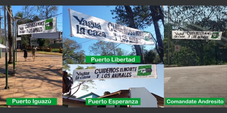 Foto: Fund. Vida Silvestre