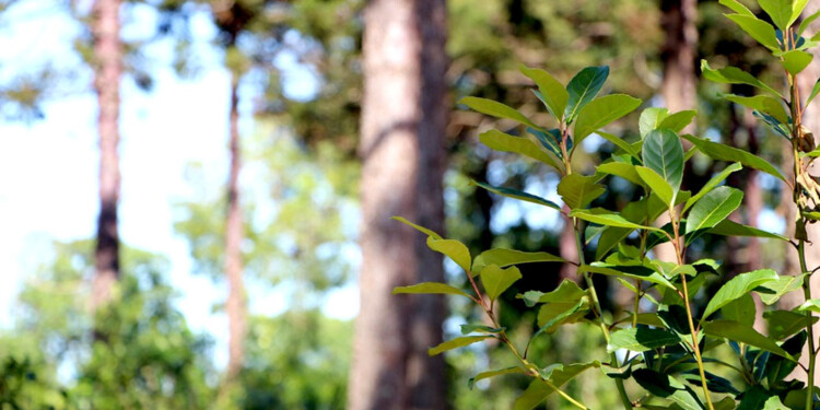 DEBATE POR LOS PRECIOS. En el INYM se abrió la sesión de precios y se pasó a un cuarto intermedio para que los diferentes eslabones de la cadena puedan fijar una posición sobre la cuestión.
