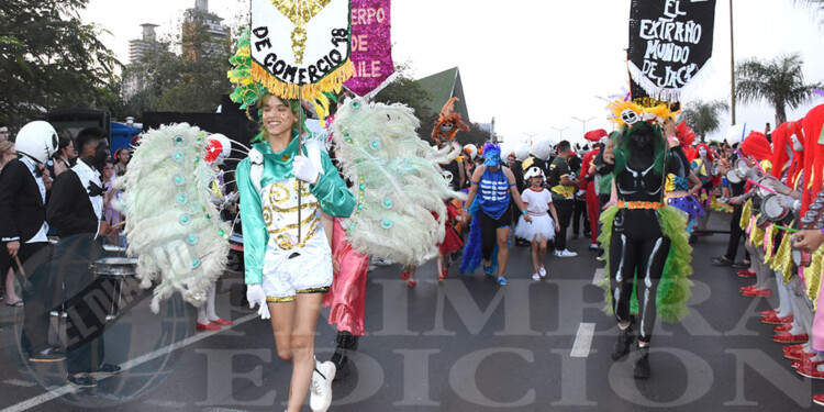 Estudiantina 2023: con el ritmo a flor de piel