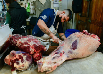Crece la inquietud en la industria frigorífica: la faena cayó hasta 30% en algunas plantas