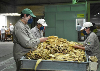 En qué consisten las medidas para la soja y las economías regionales