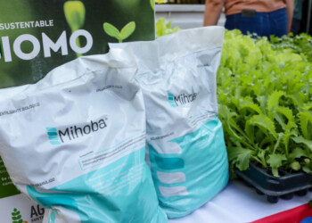 Apuntan al fortalecimiento de la producción hortícola misionera