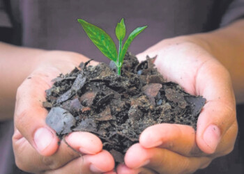 En 2024 Misiones apunta a llegar a más productores con los bioinsumos