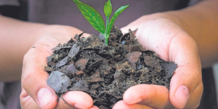 PRODUCCIÓN VERDE. Misiones buscará en 2024 llegar a más productores con bioinsumos a través de capacitaciones.