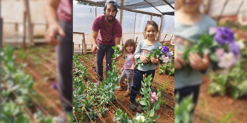 Flores de la chacra: el emprendimiento de un misionero que llena de color esta primavera