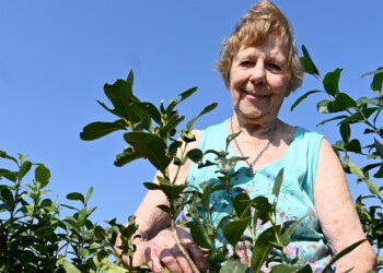 Lidia, una vida que inspira