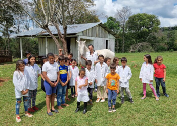 Compromiso y vocación en la escolaridad rural: “Toda una hermosa vida de enseñanza y aprendizaje”
