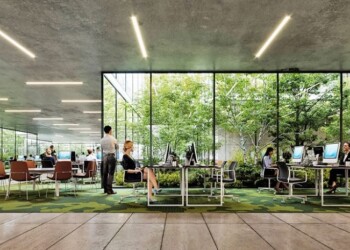 La importancia de la biofilia