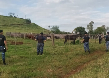 Ganaderos expresaron desamparo por el creciente robo de animales