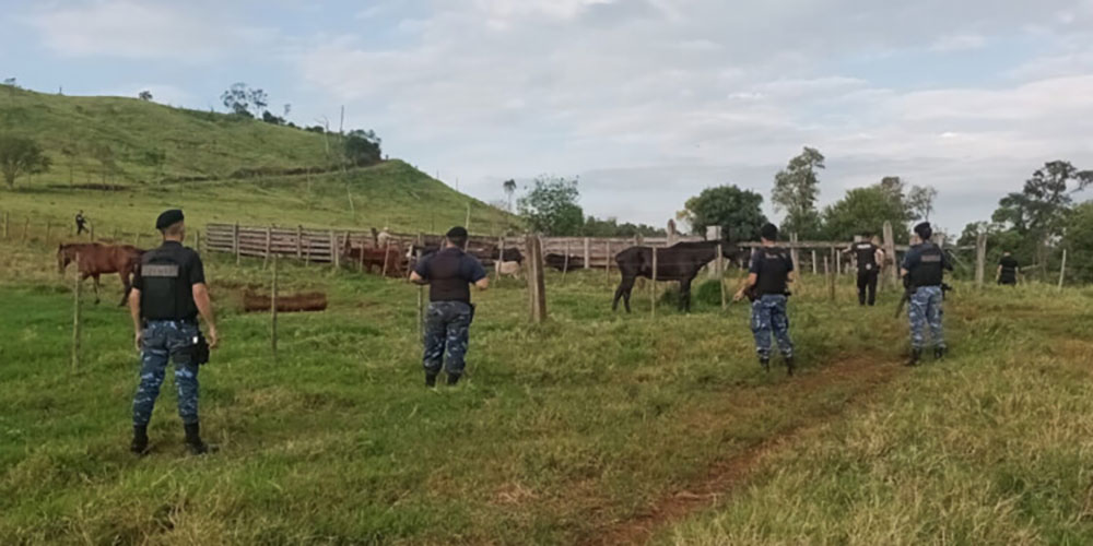 Ganaderos expresaron desamparo por el creciente robo de animales