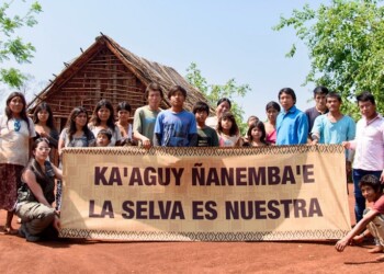Comunidades Guaraníes y Greenpeace plantaron árboles nativos contra el avance de Arauco en la selva