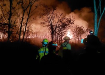 Incendio consumió pastizales en zona de ingreso al Monte Seguín