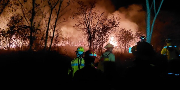 FUNDAMENTAL. Los cortafuegos realizados con anterioridad contribuyeron a que las llamas no avancen./ Gentileza BVPR