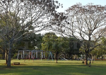 Invitan a disfrutar del Cine Móvil en el Parque de la Ciudad