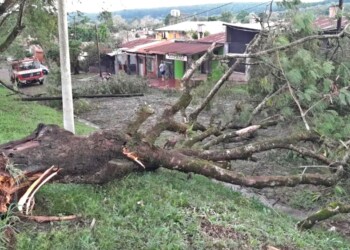 Fuerte temporal causó graves daños en Puerto Piray