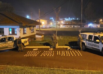 San Pedro: en el Paraje Puerto Argentino decomisaron más de 70 kilos de marihuana