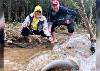 Dos amigos pescaron una súper raya