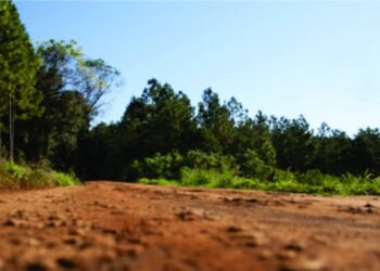 Tierras fiscales: pasos para ser adjudicatario