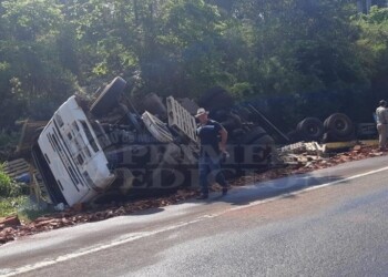 Camión volcó con su carga de ladrillos  y su conductor terminó lesionado