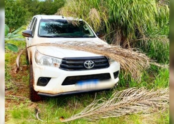 Apareció en Santo Pipó una camioneta robada en San Pedro