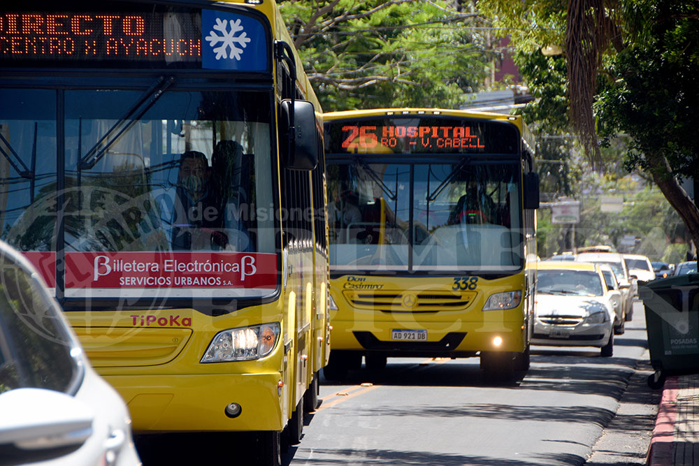 Licitación de colectivos: para Stelatto, “la competencia siempre es buena”